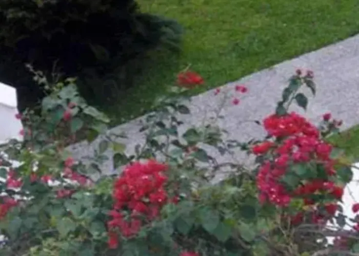 Make Yourself At In Halkidiki's Paradise Посиди