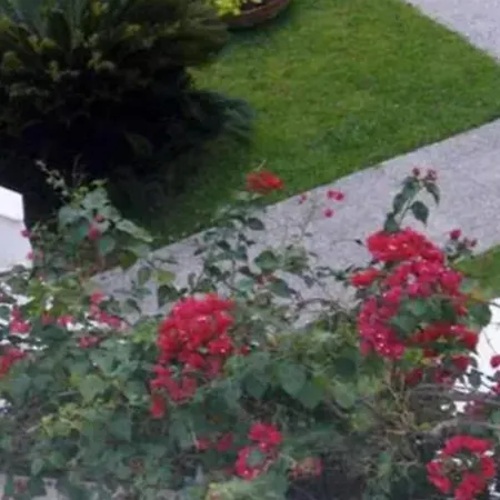 Make Yourself At In Halkidiki's Paradise Possidi